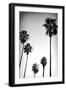 Beach Air II-Ryan Hartson-Weddle-Framed Photographic Print