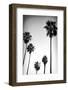 Beach Air II-Ryan Hartson-Weddle-Framed Photographic Print