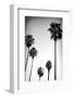 Beach Air II-Ryan Hartson-Weddle-Framed Photographic Print