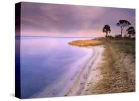 Beach along Saint Joseph's Bay, Florida-Tim Fitzharris-Stretched Canvas