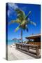 Beach and Beach Bar-Frank Fell-Stretched Canvas