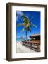 Beach and Beach Bar-Frank Fell-Framed Photographic Print