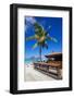 Beach and Beach Bar-Frank Fell-Framed Photographic Print