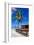 Beach and Beach Bar-Frank Fell-Framed Photographic Print