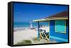 Beach and Beach Hut-Frank Fell-Framed Stretched Canvas