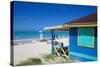 Beach and Beach Hut-Frank Fell-Stretched Canvas