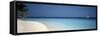 Beach and Boat Scene the Maldives-null-Framed Stretched Canvas