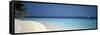 Beach and Boat Scene the Maldives-null-Framed Stretched Canvas