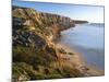 Beach and cliffs at Praia do Telheiro at the Costa Vicentina. Algarve. Portugal-Martin Zwick-Mounted Photographic Print