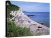 Beach and Cliffs, Beer, Devon, England, United Kingdom-Roy Rainford-Stretched Canvas
