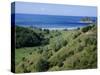 Beach and Coast, Tokomaru Bay, Gisborne, East Coast, North Island, New Zealand, Pacific-D H Webster-Stretched Canvas