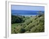 Beach and Coast, Tokomaru Bay, Gisborne, East Coast, North Island, New Zealand, Pacific-D H Webster-Framed Photographic Print