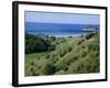 Beach and Coast, Tokomaru Bay, Gisborne, East Coast, North Island, New Zealand, Pacific-D H Webster-Framed Photographic Print