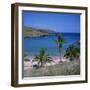 Beach and Coastline at Playa Anakena, on the North Coast of Easter Island, Chile-Geoff Renner-Framed Photographic Print