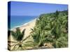 Beach and Coconut Palms, Kovalam Beach, Kerala State, India-Gavin Hellier-Stretched Canvas