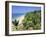 Beach and Coconut Palms, Kovalam Beach, Kerala State, India-Gavin Hellier-Framed Photographic Print