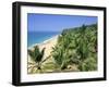 Beach and Coconut Palms, Kovalam Beach, Kerala State, India-Gavin Hellier-Framed Photographic Print