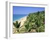 Beach and Coconut Palms, Kovalam Beach, Kerala State, India-Gavin Hellier-Framed Photographic Print