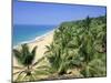 Beach and Coconut Palms, Kovalam Beach, Kerala State, India-Gavin Hellier-Mounted Photographic Print