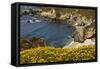 Beach and Cove, Garrapata State Park, California, USA-Michel Hersen-Framed Stretched Canvas