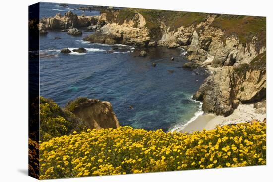 Beach and Cove, Garrapata State Park, California, USA-Michel Hersen-Stretched Canvas