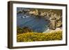 Beach and Cove, Garrapata State Park, California, USA-Michel Hersen-Framed Photographic Print