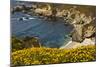 Beach and Cove, Garrapata State Park, California, USA-Michel Hersen-Mounted Photographic Print