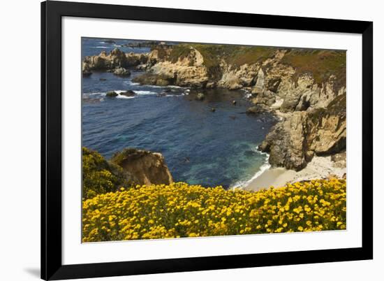 Beach and Cove, Garrapata State Park, California, USA-Michel Hersen-Framed Photographic Print