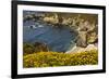 Beach and Cove, Garrapata State Park, California, USA-Michel Hersen-Framed Photographic Print