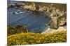 Beach and Cove, Garrapata State Park, California, USA-Michel Hersen-Mounted Photographic Print