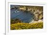 Beach and Cove, Garrapata State Park, California, USA-Michel Hersen-Framed Photographic Print