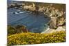 Beach and Cove, Garrapata State Park, California, USA-Michel Hersen-Mounted Photographic Print