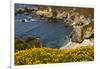 Beach and Cove, Garrapata State Park, California, USA-Michel Hersen-Framed Photographic Print