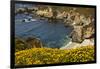 Beach and Cove, Garrapata State Park, California, USA-Michel Hersen-Framed Photographic Print