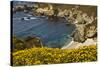 Beach and Cove, Garrapata State Park, California, USA-Michel Hersen-Stretched Canvas