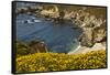 Beach and Cove, Garrapata State Park, California, USA-Michel Hersen-Framed Stretched Canvas