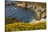 Beach and Cove, Garrapata State Park, California, USA-Michel Hersen-Stretched Canvas