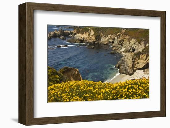 Beach and Cove, Garrapata State Park, California, USA-Michel Hersen-Framed Photographic Print