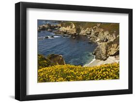 Beach and Cove, Garrapata State Park, California, USA-Michel Hersen-Framed Photographic Print