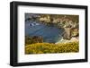 Beach and Cove, Garrapata State Park, California, USA-Michel Hersen-Framed Photographic Print