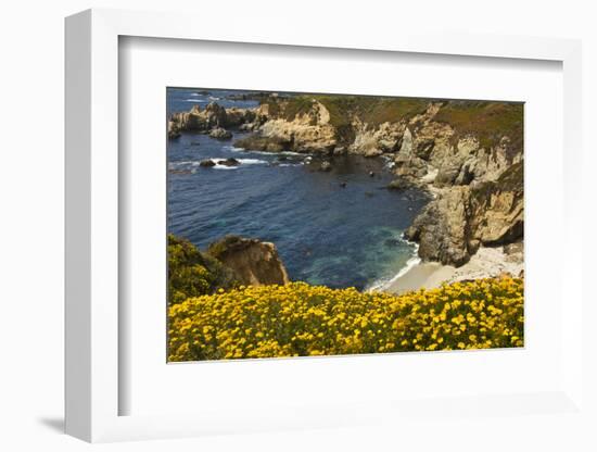 Beach and Cove, Garrapata State Park, California, USA-Michel Hersen-Framed Photographic Print