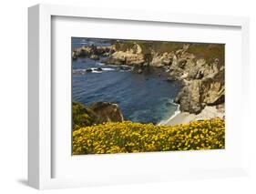 Beach and Cove, Garrapata State Park, California, USA-Michel Hersen-Framed Photographic Print