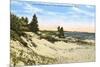 Beach and Dunes, Manistee, Michigan-null-Mounted Art Print