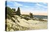 Beach and Dunes, Manistee, Michigan-null-Stretched Canvas