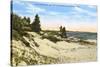 Beach and Dunes, Manistee, Michigan-null-Stretched Canvas