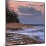 Beach and Full Moon Rise, East Kauai, Hawaii-Vincent James-Mounted Photographic Print