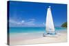 Beach and Hobie Cat, Long Bay, Antigua, Leeward Islands, West Indies, Caribbean, Central America-Frank Fell-Stretched Canvas