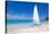 Beach and Hobie Cat, Long Bay, Antigua, Leeward Islands, West Indies, Caribbean, Central America-Frank Fell-Stretched Canvas