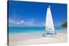 Beach and Hobie Cat, Long Bay, Antigua, Leeward Islands, West Indies, Caribbean, Central America-Frank Fell-Stretched Canvas