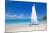 Beach and Hobie Cat, Long Bay, Antigua, Leeward Islands, West Indies, Caribbean, Central America-Frank Fell-Mounted Photographic Print